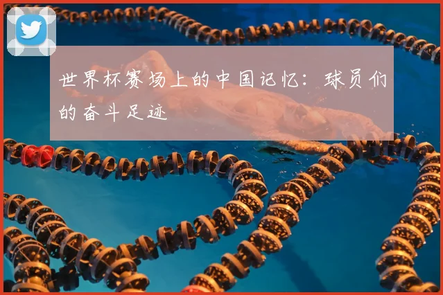 世界杯赛场上的中国记忆:球员们的奋斗足迹