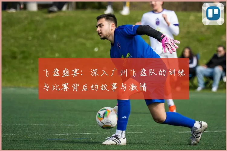 飞盘盛宴：深入广州飞盘队的训练与比赛背后的故事与激情