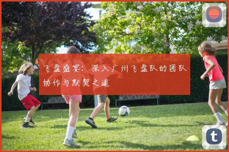 飞盘盛宴:深入广州飞盘队的团队协作与默契之道