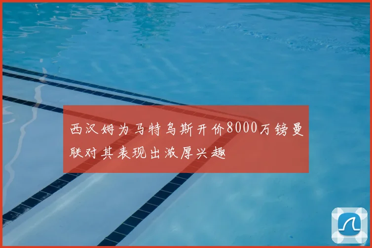 西汉姆为马特乌斯开价8000万镑曼联对其表现出浓厚兴趣