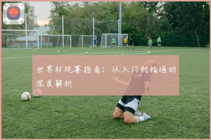 世界杯观赛指南:从入门到精通的深度解析