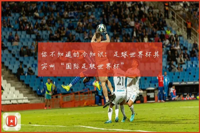你不知道的冷知识:足球世界杯其实叫“国际足联世界杯”