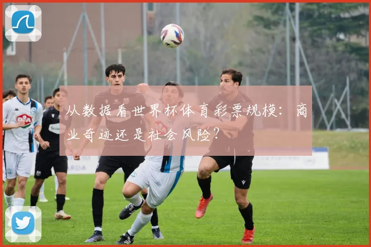 从数据看世界杯体育彩票规模：商业奇迹还是社会风险？