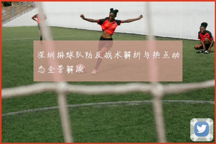 深圳排球队防反战术解析与热点动态全景解读