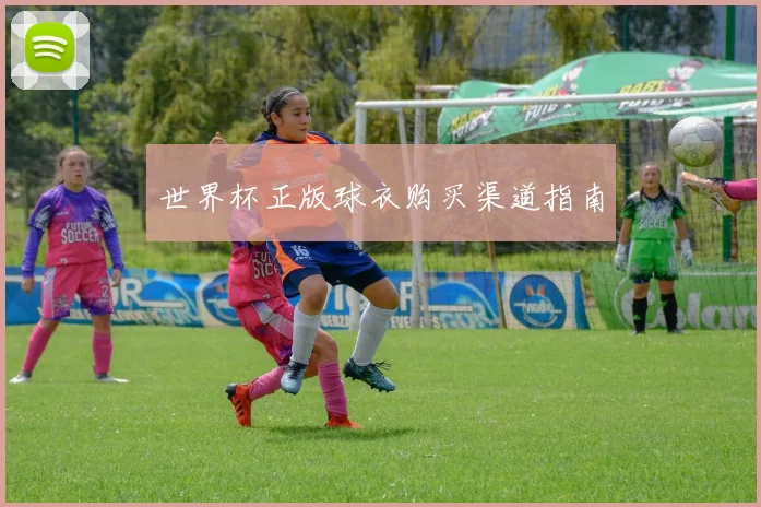世界杯正版球衣购买渠道指南