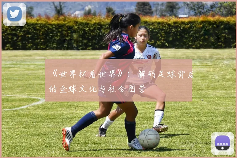《世界杯看世界》:解码足球背后的全球文化与社会图景