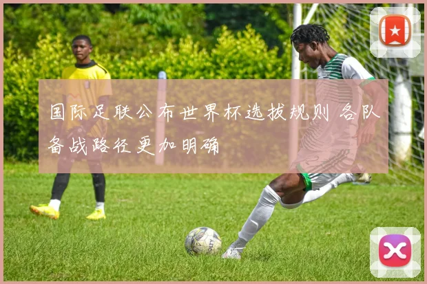国际足联公布世界杯选拔规则 各队备战路径更加明确
