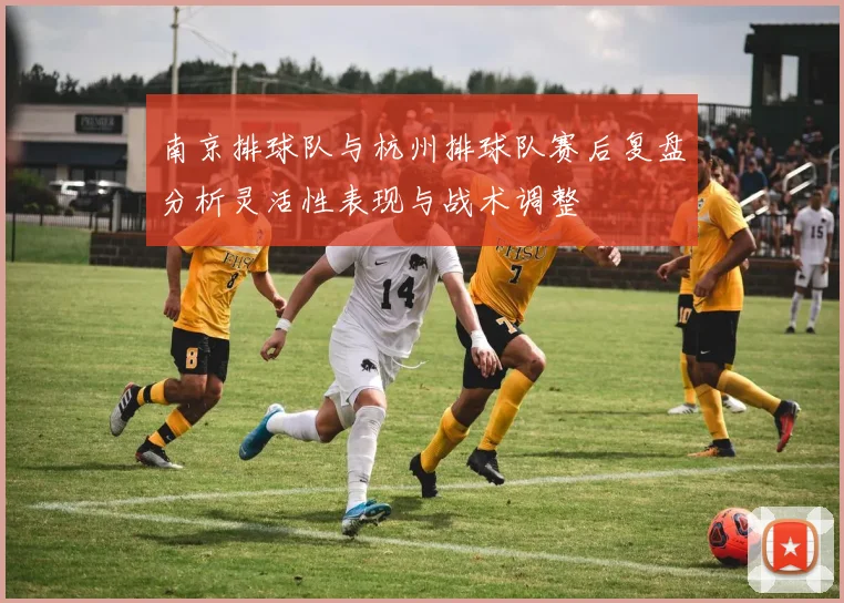 南京排球队与杭州排球队赛后复盘分析灵活性表现与战术调整