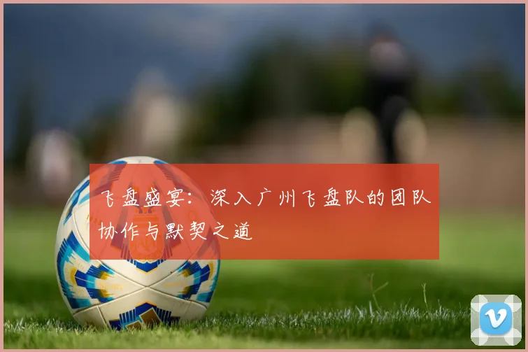 飞盘盛宴：深入广州飞盘队的团队协作与默契之道