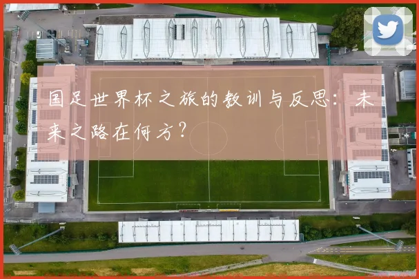 国足世界杯之旅的教训与反思:未来之路在何方?