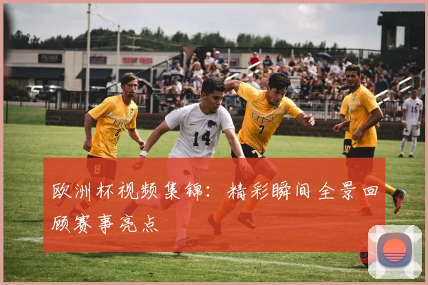 欧洲杯视频集锦:精彩瞬间全景回顾赛事亮点