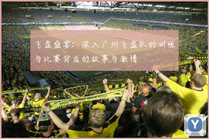 飞盘盛宴:深入广州飞盘队的训练与比赛背后的故事与激情