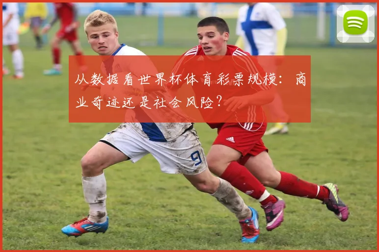从数据看世界杯体育彩票规模：商业奇迹还是社会风险？