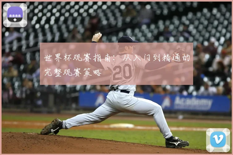 世界杯观赛指南:从入门到精通的完整观赛策略