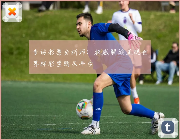 专访彩票分析师:权威解读正规世界杯彩票购买平台