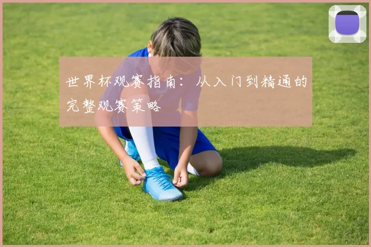 世界杯观赛指南:从入门到精通的完整观赛策略