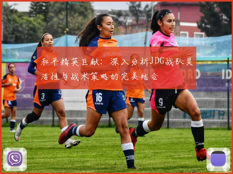和平精英巨献：深入分析JDG战队灵活性与战术策略的完美结合